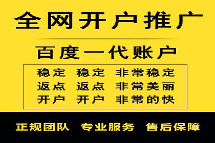 SEM代运营机构案例分析：优化策略与执行